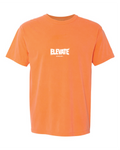 Elevate Beyond Limits "Melon"